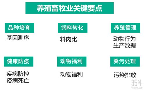 農(nóng)業(yè)食品技術(shù)創(chuàng)新趨勢與價值鏈重塑 技術(shù)服務(wù)的核心驅(qū)動力